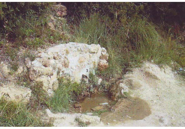 Fuente de la Canaleja (A.J. Martínez Leiva, noviembre 2009)