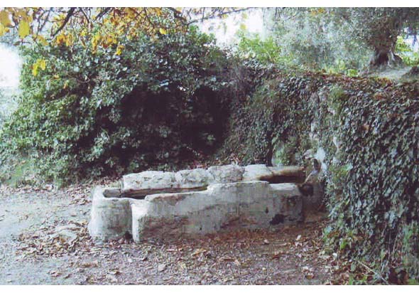 Fuente del Parral (A. J. Martínez Leiva, noviembre 2009)