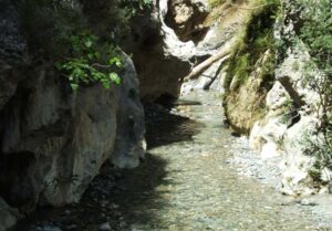 Fuente Negra (F. Fajardo, abril 2009)