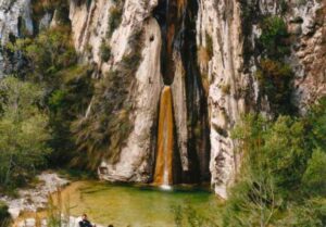 Chorrera de los arboles petrificados (C. Herrera, marzo, 2004)