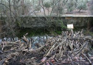 Fuente de la Huerta (P. Jáimez Cuellar, febrero 2010)