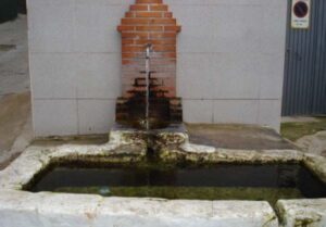 Fuente de las Casas Nuevas (A. Castillo Iglesias, febrero 2010)