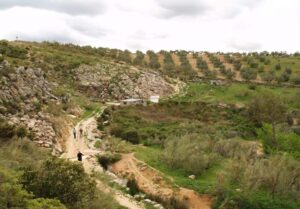 Manantial del cortijo Villanueva (A. Castillo, abril 2005)