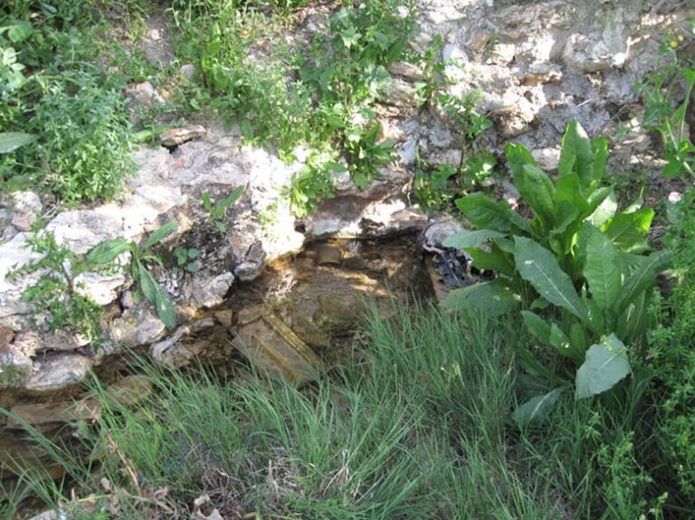 Fuente de la Huerta El Juncal (D. Moreno Gordillo, abril 2010)