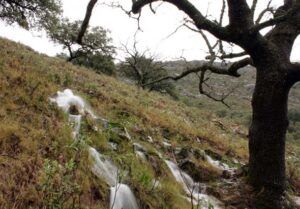 Reventón de la Loma Seha (B. Montes, febrero 2010)