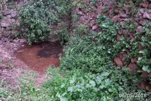 Fuente de Abajo (A. Ventas, mayo 2018)