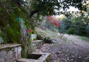 Fuente Fría de la Alfaguara (Taller de la Alfaguarilla, octubre 2010)