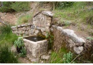 Fuente de la Ponderosa (Taller de la Alfaguarilla, junio 2010)