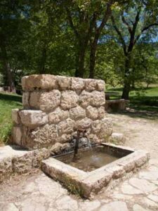 Cañada de las Fuentes (A. Castillo Martín, junio 2010)