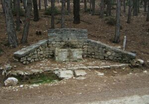 Fuente de los Tejuelos (F. Cuesta López, noviembre 2010)