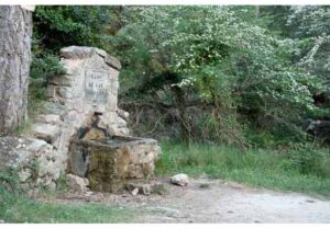 Fuente del Prado de las Ubillas (Taller de la Alfaguarilla, junio 2010)