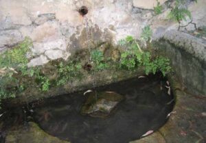 Manantial del Agujero, pilar (E. Benitez, julio 2010)