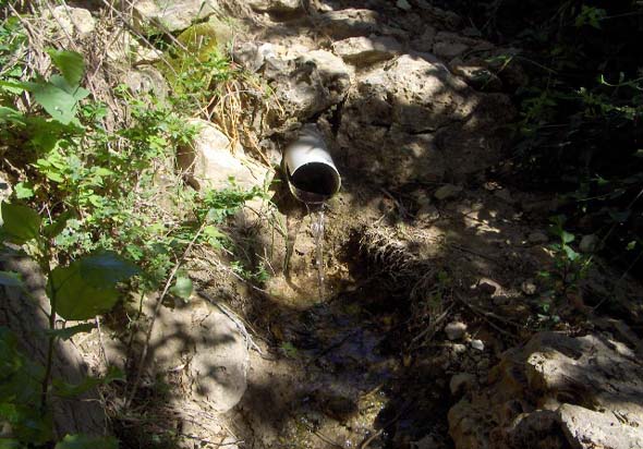 Fuente de Cañillo Mateo (S. Rodríguez, junio 2010)