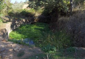 Nacimiento de la Huerta de la Viña (Ronda)