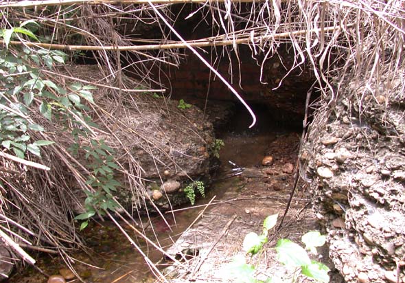 Fuente de la Mora (F. Ruiz, mayo 2006)