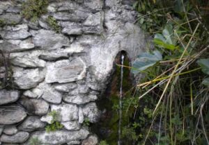 Fuente del Argentino (F. Espìgares, abril 2010)