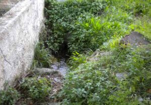 Manantial del Río Chico (F. Espigares, abril 2010)