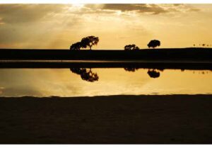 Laguna de La Ballestera (F. Espigares, octubre 2008)