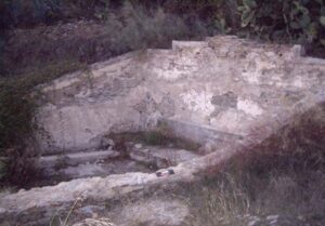 Fuente de Benitagla (A. Benavides, diciembre 2010)