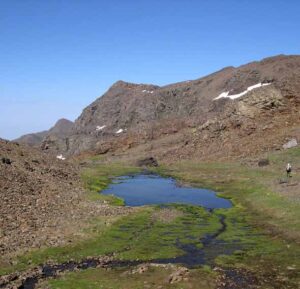 Lagunillo de Lanjarón (A. Castillo, junio 2006)
