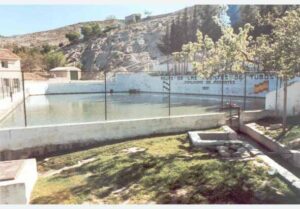 Manantial de los Tubos (T. Peinado)