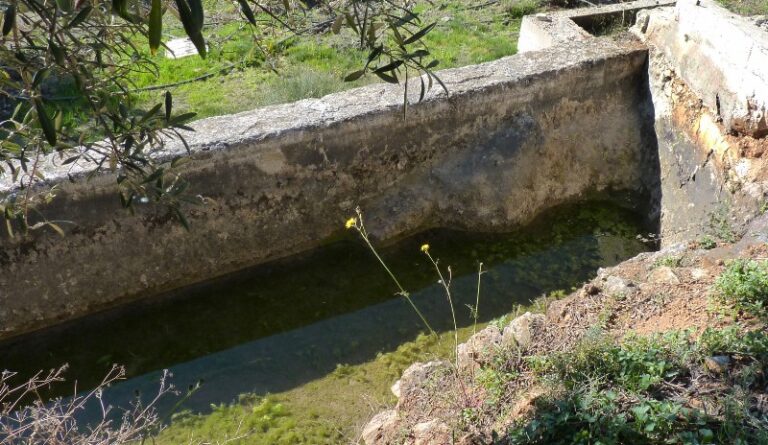 Fuente Zuelas (J. Rubia, febrero 2011)