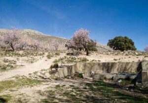 Fuente del Cortijo Nuevo (A. Martín -Taller de la Alfaguarilla, febrero 2011)