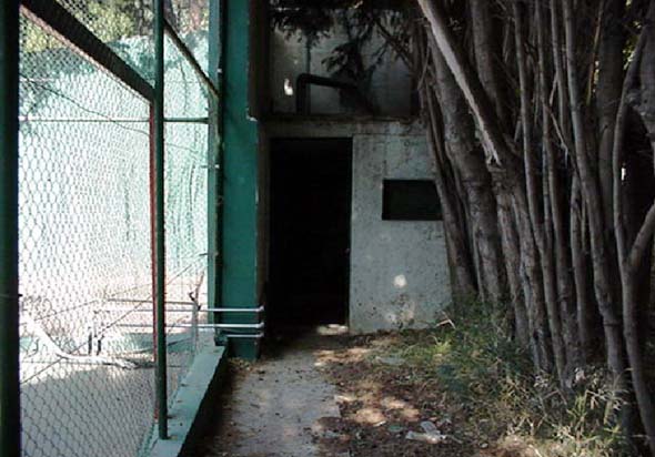Manantial Salud V (F. Suárez, 2005)