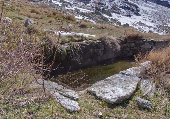 Alberca de la Acequia Alta (J. Rubia, marzo 2011)
