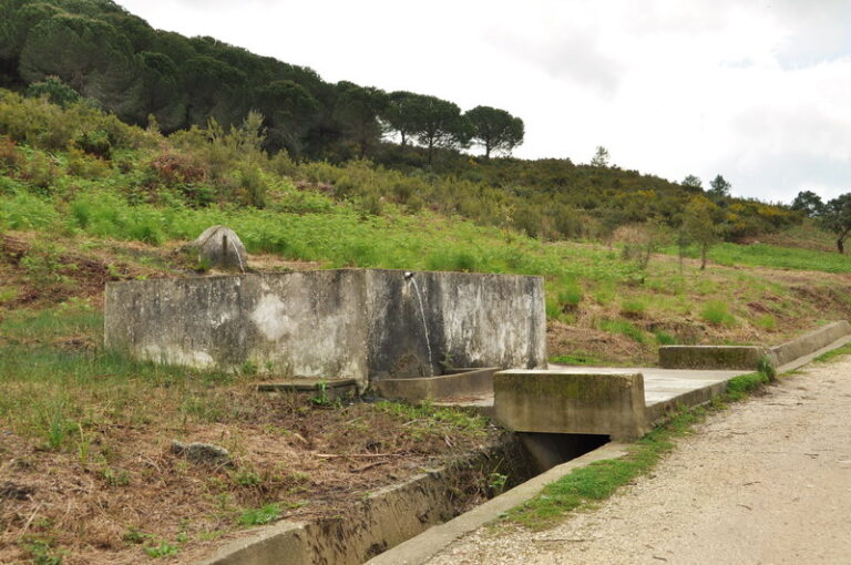 Fuente la Teja (M. Limón Andamoyo, marzo 2011)