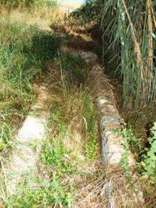 Manantial del Cortijo El Villar (A.B. Galán, junio 2011)