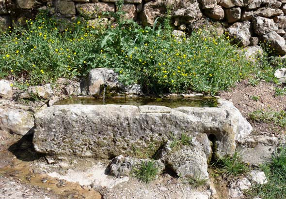 Fuente de la Pililla (R. Martín, abril 2011)