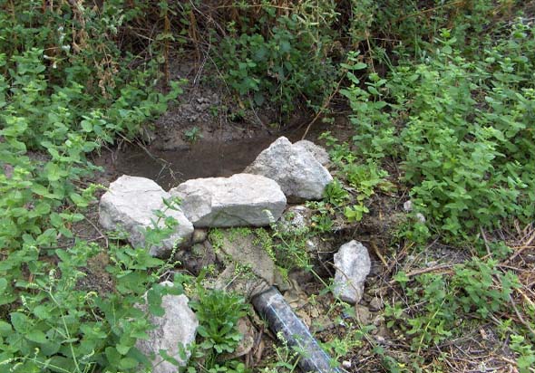 Nacimiento de la Molina (S. Rodríguez, agosto 2011)