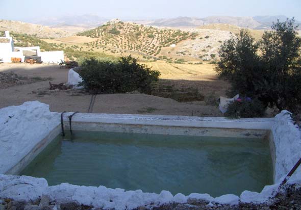 Alberca (S. Rodríguez, agosto 2011)