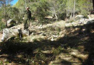 Siete Fuentes (L. Sánchez Díaz, enero 2012)