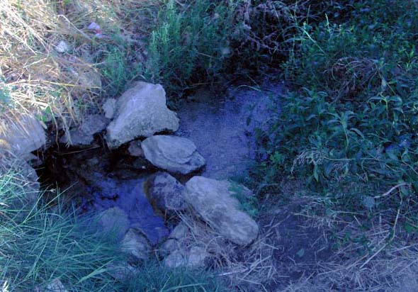 Fuente del Piojo (S. Rodríguez, agosto 2011)