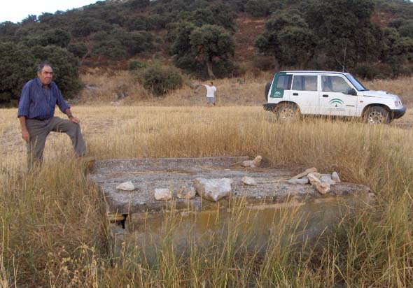 Nacimiento del Pleito Chico (S. Rodríguez, agosto 2011)