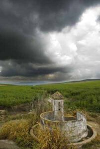 Fuente de la Alamedilla (A. Ruiz Guerrero, mayo 2011)