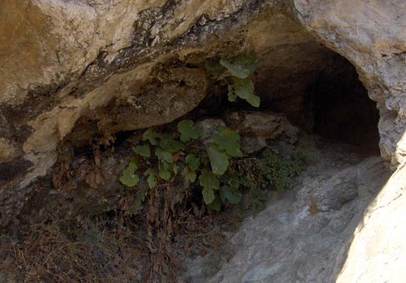 Fuente de la Perdiz (S. Rodríguez, octubre 2011)