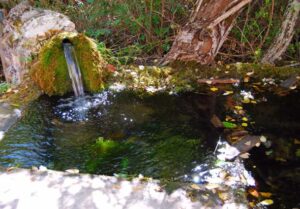 Fuente de Las Canalejas (A, Benavente Navarro, octubre 2011)