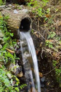 Fuente de Mezquerina (Taller de la Alfaguarilla, noviembre 2011)
