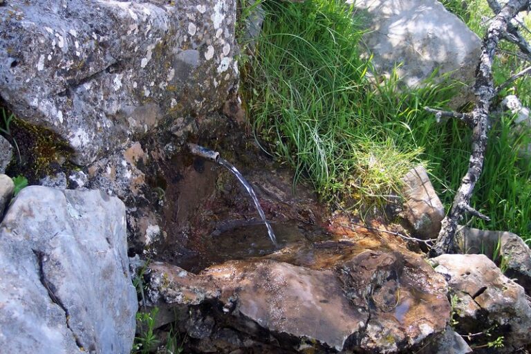Fuente del Salgatillo (F. Serrano, 2004)
