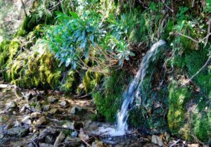 Fuente de Poyo Zarzoso (A. Benavente Navarro, mayo 2010)