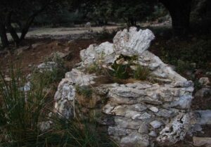 Fuente del Robledar (www.panoramio.com - A. Aguilera, noviembre 2009)