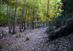 Fuente de las Veguillas (www.panoramio.com - A. Aguilera, febrero 2011)