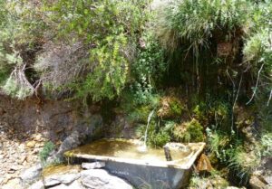 Fuente de la Gitana (A. Aguilera, mayo 2011)
