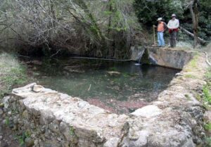 Fuente del Barranco de Colmenares (A. Castillo Martín, marzo 2012)