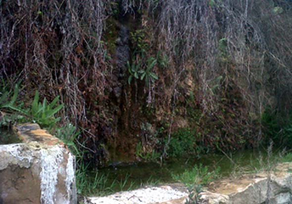 Fuente de los Carrizos (A. Gómez Castillo, abril 2012)