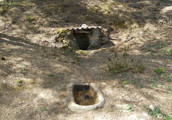 Fuente-pozo del Lobo (S. Rodríguez, abril 2012)