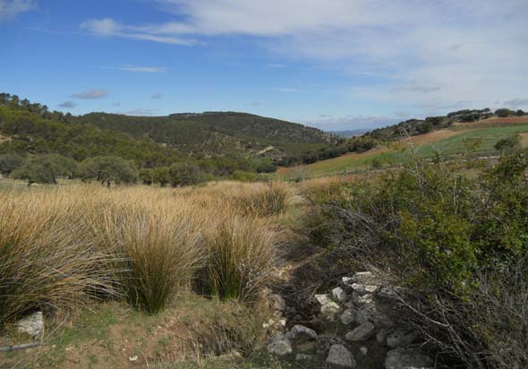 Surgencia de Las Carboneras (S. Rodríguez, abril 2012)